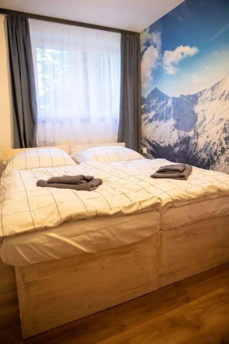 Apartament Leszczynska 29 Bielsko-Biała Eksteriør billede