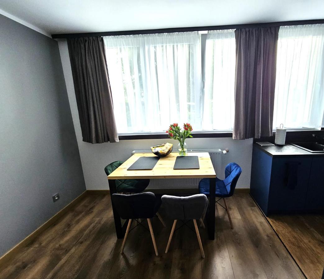 Apartament Leszczynska 29 Bielsko-Biała Eksteriør billede